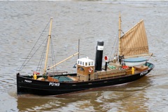 DSC01842 © Peter Taylor 2010