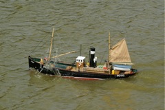 DSC01002 © Peter Taylor 2009