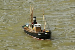 DSC00998 © Peter Taylor 2009