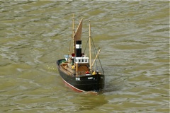 DSC00997 © Peter Taylor 2009