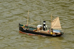 DSC00994 © Peter Taylor 2009