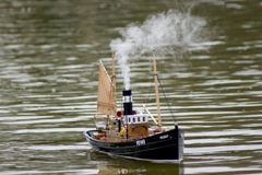 DSC03454 © Peter Taylor 2007