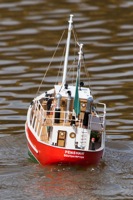 DSC03909 © Peter Taylor 2012