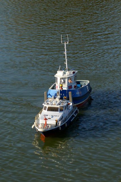 DSC02687 © Peter Taylor 2009