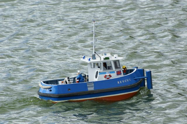 DSC02364 © Peter Taylor 2009
