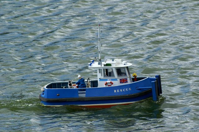 DSC02363 © Peter Taylor 2009