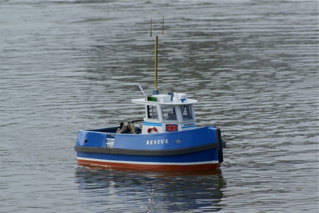 DSC08768 © Peter Taylor 2009