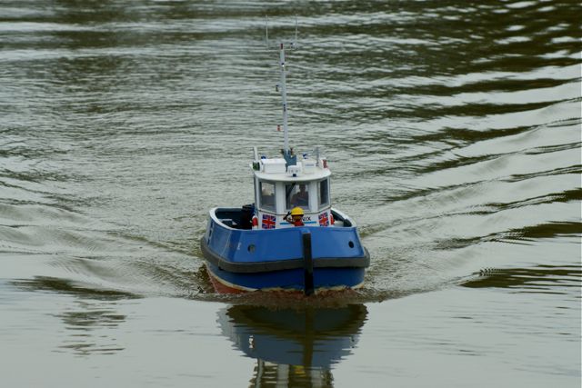 DSC01218 © Peter Taylor 2010