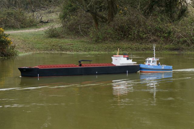 DSC01216 © Peter Taylor 2010