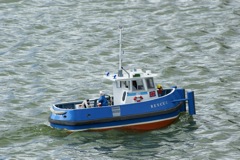 DSC02364 © Peter Taylor 2009