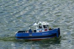 DSC02363 © Peter Taylor 2009