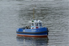 DSC08768 © Peter Taylor 2009