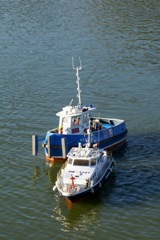 DSC02688 © Peter Taylor 2009
