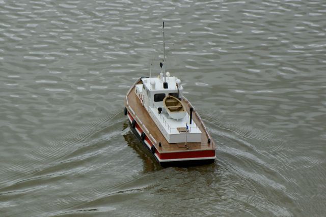 DSC00080 © Peter Taylor 2009