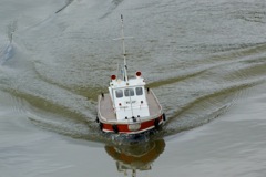DSC00089 © Peter Taylor 2009