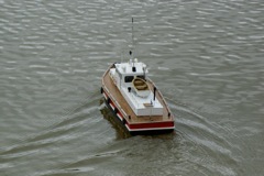 DSC00080 © Peter Taylor 2009