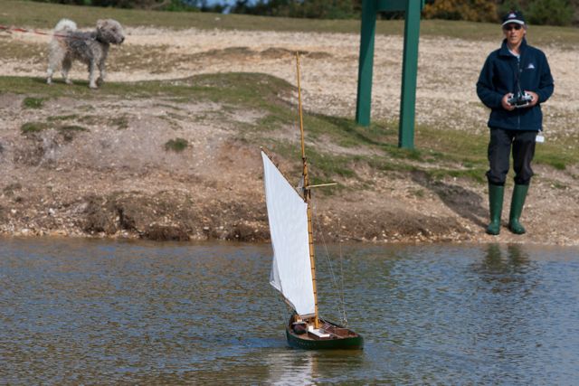 DSC01572 © Peter Taylor 2013