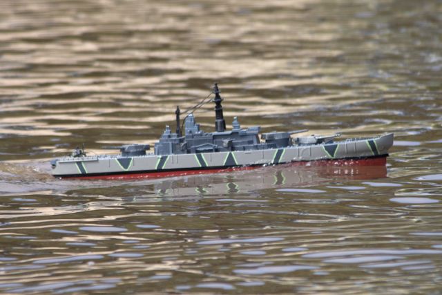 DSC06039 © Peter Taylor 2011