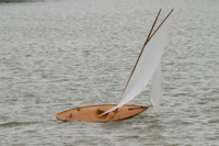 DSC00388 © Peter Taylor 2012