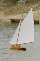 DSC00401 © Peter Taylor 2012