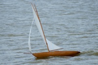 DSC01717 © Peter Taylor 2010