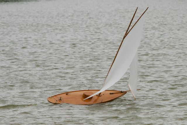 DSC00388 © Peter Taylor 2012