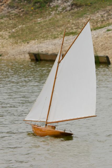 DSC00401 © Peter Taylor 2012