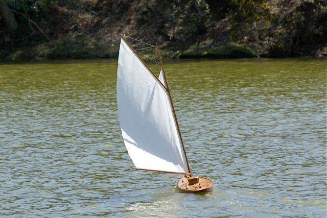DSC09423 © Peter Taylor 2009