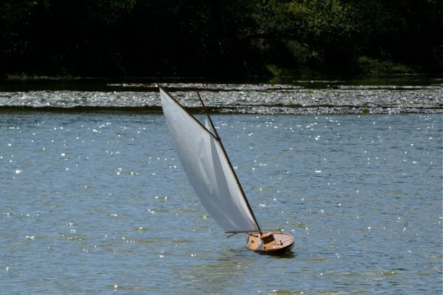 DSC09413 © Peter Taylor 2009