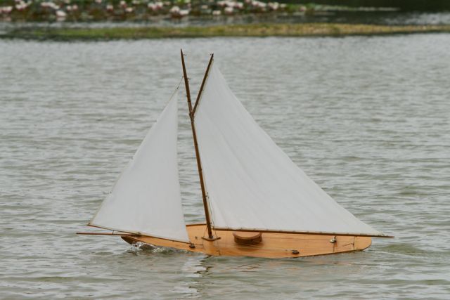 DSC00410 © Peter Taylor 2012