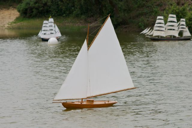 DSC00403 © Peter Taylor 2012