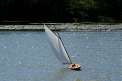 DSC09413 © Peter Taylor 2009