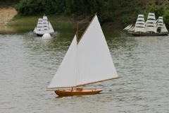 DSC00403 © Peter Taylor 2012
