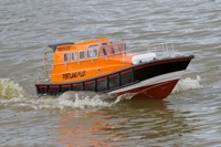 DSC08084 © Peter Taylor 2011