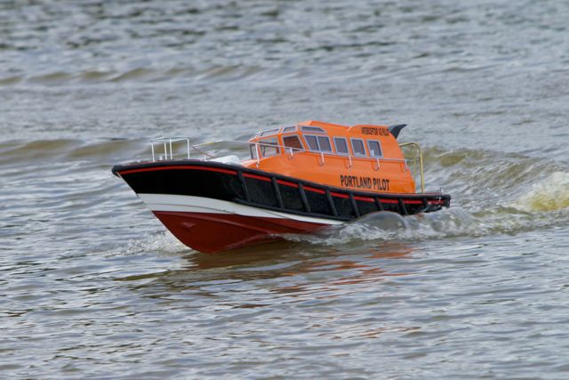 DSC08103 © Peter Taylor 2011