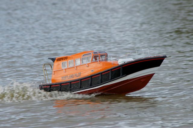 DSC08075 © Peter Taylor 2011
