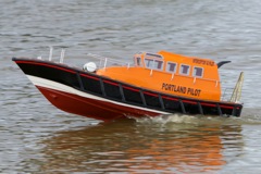 DSC08078 © Peter Taylor 2011