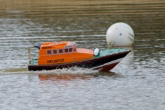 DSC08071 © Peter Taylor 2011