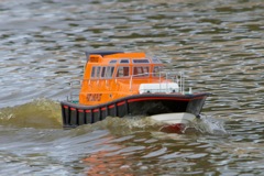 DSC08076 © Peter Taylor 2011