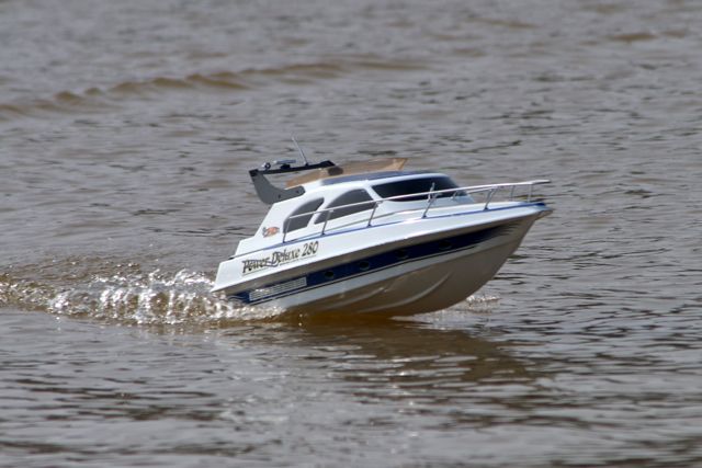 DSC03873 © Peter Taylor 2011
