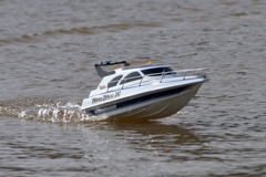 DSC03873 © Peter Taylor 2011