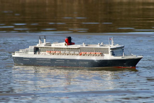 DSC09264 © Peter Taylor 2012