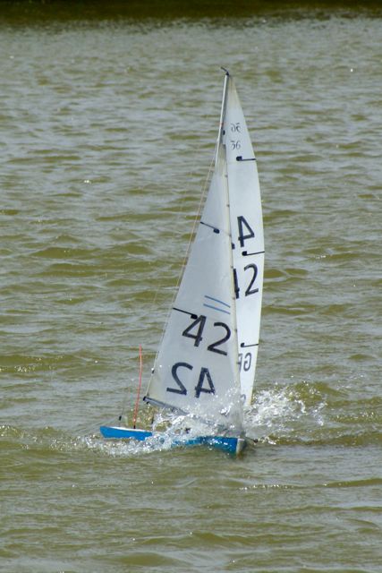 DSC09820 © Peter Taylor 2009