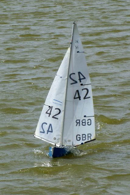 DSC09829 © Peter Taylor 2009