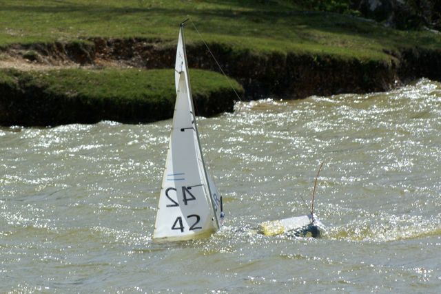DSC09788 © Peter Taylor 2009