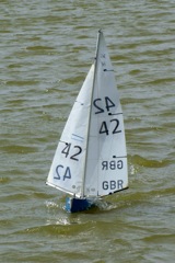 DSC09829 © Peter Taylor 2009