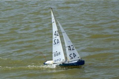 DSC09676 © Peter Taylor 2009