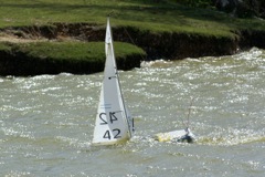 DSC09788 © Peter Taylor 2009