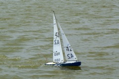 DSC09922 © Peter Taylor 2009