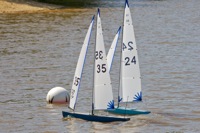DSC04302 © Peter Taylor 2012